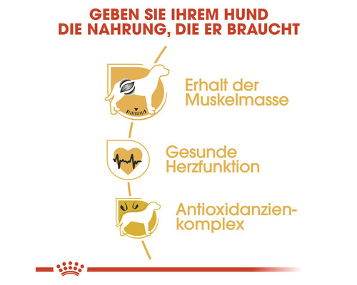 Symbole für den Erhalt der Muskelmasse, eine gesunde Herzfunktion und einen Antioxidanzienkomplex für Hunde