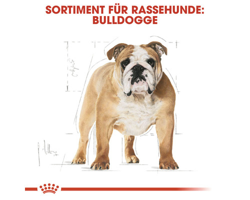 Royal Canin Bulldogge Hundefutter