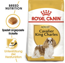 Royal Canin Adult Cavalier King Charles Hundetrockenfutter Packung