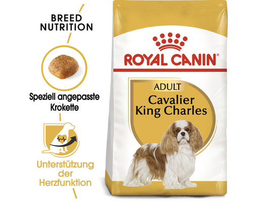 Royal Canin Adult Cavalier King Charles Hundetrockenfutter Packung