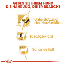 Unterstützung der Herzfunktion, Idealgewicht und schönes Fell für Hunde.