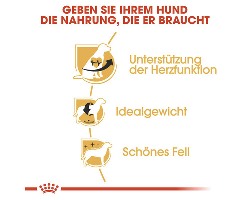 Unterstützung der Herzfunktion, Idealgewicht und schönes Fell für Hunde.
