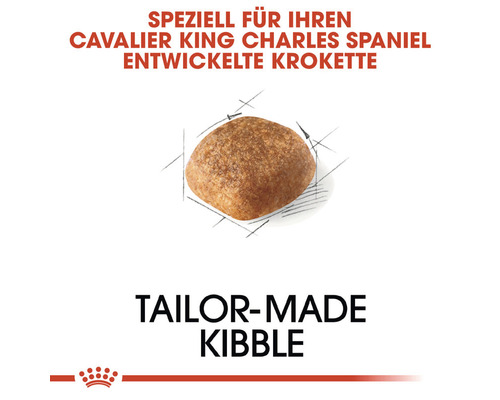 Einzelne Krokette für Cavalier King Charles Spaniel