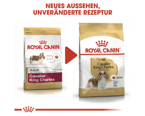 Royal Canin Cavalier King Charles adult dog food packaging showing the new design