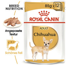Royal Canin Adult Chihuahua Hundefutter im 85 Gramm Beutel, 12er Pack
