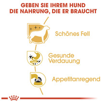Vorteile von Hundefutter: Schönes Fell, gesunde Verdauung, appetitanregend