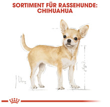 Hundefutter trocken ROYAL CANIN BHN Chihuahua Adult 500 g