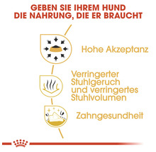 Hundefutter trocken ROYAL CANIN BHN Chihuahua Adult 500 g