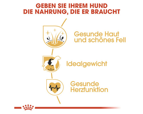 Symbole für gesunde Haut, ideales Gewicht und gesunde Herzfunktion für Hundefutter