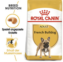 Hundefutter trocken, ROYAL CANIN BHN French Bulldog Junior, 1,5 kg