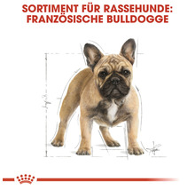 Hundefutter trocken, ROYAL CANIN BHN French Bulldog Junior, 1,5 kg