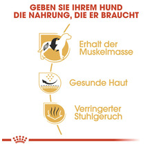Erhalt der Muskelmasse, gesunde Haut und verringerter Stuhlgeruch für Hunde