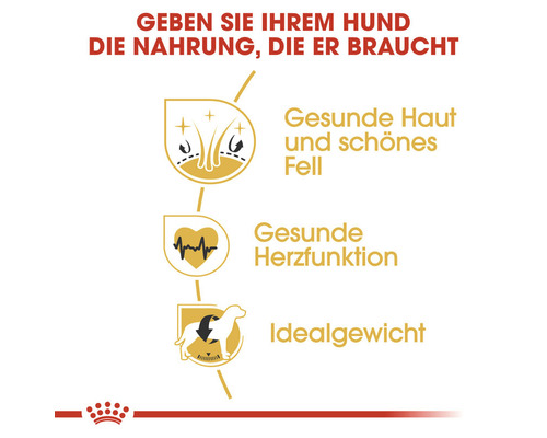 Informationen zu gesundem Fell, Herzfunktion und Idealgewicht für Hunde