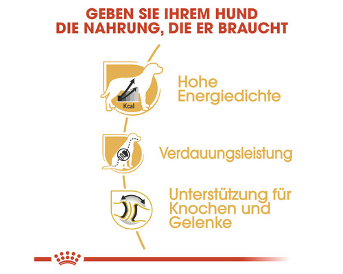 Informationen zu hoher Energiedichte, Verdauungsleistung und Unterstützung für Knochen und Gelenke