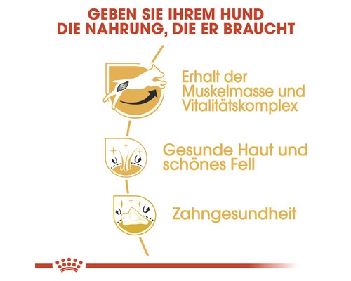 Informationen zu den Vorteilen von Hundefutter: Erhalt der Muskelmasse, gesunde Haut und schönes Fell, Zahngesundheit
