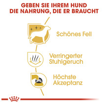 Vorteile von Hundefutter: Schönes Fell, reduzierter Stuhlgeruch, hohe Akzeptanz