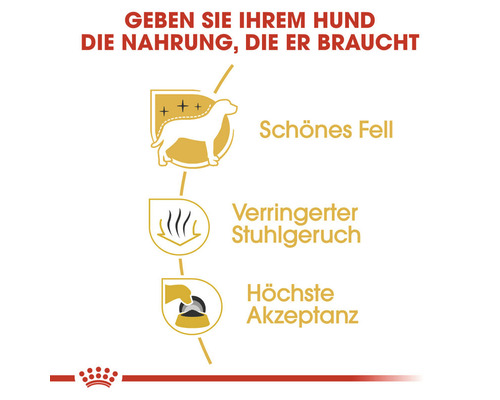 Vorteile von Hundefutter: Schönes Fell, verringerter Stuhlgeruch, höchste Akzeptanz