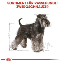 Hundefutter trocken, ROYAL CANIN CC Mini Schnauzer Adult, 3 kg