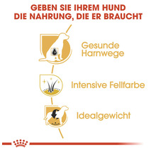 Hundefutter trocken, ROYAL CANIN CC Mini Schnauzer Adult, 3 kg