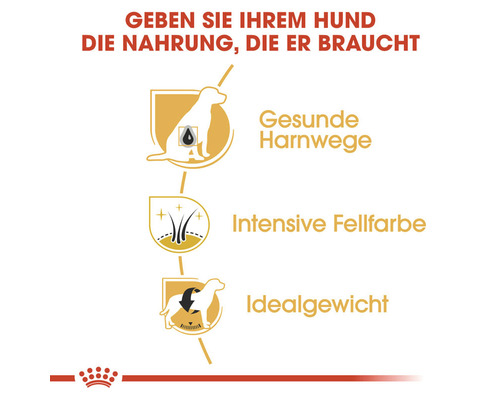 Grafische Darstellung der Vorteile von Hundefutter: Gesunde Harnwege, intensive Fellfarbe und Idealgewicht