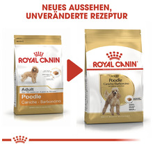 Hundefutter trocken, ROYAL CANIN Poodle 30, Pudel 0,5 kg