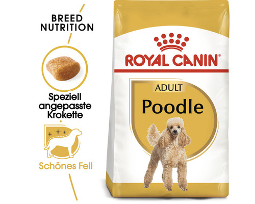 Royal Canin Adult Poodle Trockenfutter für ausgewachsene Pudel