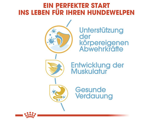 Unterstützung der Abwehrkräfte, Entwicklung der Muskulatur und gesunde Verdauung für Hundewelpen