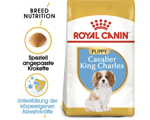 Royal Canin Logo. Trockenfutter für Cavalier King Charles Welpen.