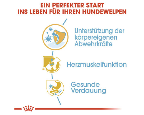 Informationen zu den Vorteilen von Hundefutter: Unterstützung der körpereigenen Abwehrkräfte, Herzmuskelfunktion, gesunde Verdauung