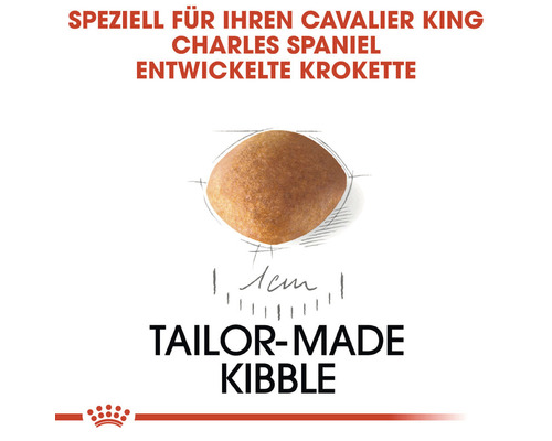 Speziell für Cavalier King Charles Spaniel entwickelte Hundefutter Krokette