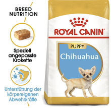 Royal Canin Chihuahua Puppy Hundefutter für Welpen