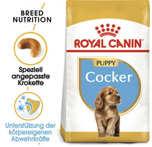 Royal Canin Welpenfutter Cocker Spaniel