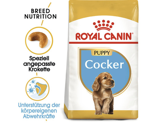 Royal Canin Welpenfutter Cocker Spaniel