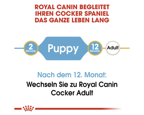 Royal Canin begleitet Ihren Cocker Spaniel das ganze Leben lang. Welpe: 2 bis 12 Monate, danach wechseln Sie zu Royal Canin Cocker Adult.