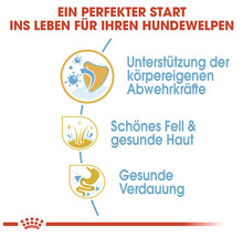 Vorteile für Welpen: Unterstützung der körpereigenen Abwehrkräfte, schönes Fell und gesunde Haut, gesunde Verdauung.