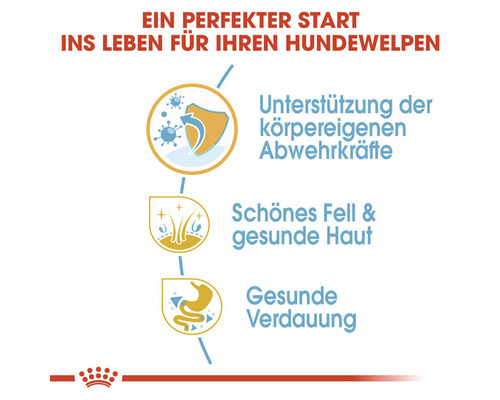 Vorteile für Welpen: Unterstützung der körpereigenen Abwehrkräfte, schönes Fell und gesunde Haut, gesunde Verdauung.