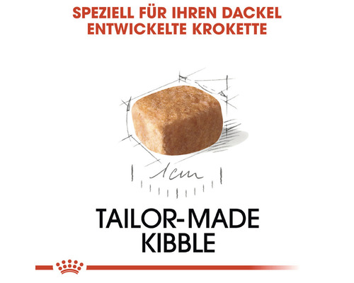 Einzelnes Trockenfutterstück für Dackel