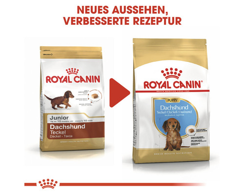 Royal Canin Hundefutter für Dackel, neue Rezeptur