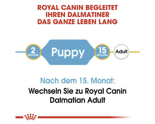 Royal Canin begleitet Ihren Dalmatiner das ganze Leben lang. Fütterungsempfehlung: Welpe bis zum 15. Monat, danach Futterwechsel zu Royal Canin Dalmatiner Adult.