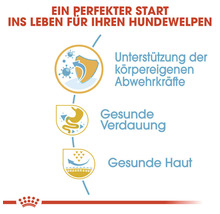 Hundefutter trocken ROYAL CANIN French Bulldog Puppy Welpenfutter trocken für Französische Bulldoggen 1 kg