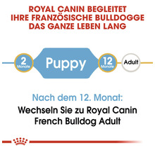 Hundefutter trocken ROYAL CANIN French Bulldog Puppy Welpenfutter trocken für Französische Bulldoggen 3 kg