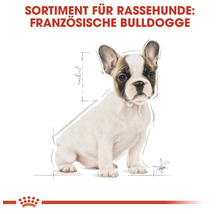 Hundefutter trocken ROYAL CANIN French Bulldog Puppy Welpenfutter trocken für Französische Bulldoggen 3 kg