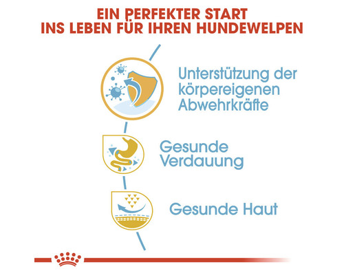 Grafik zur Unterstützung des Immunsystems, der gesunden Verdauung und der gesunden Haut von Welpen.