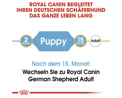 Royal Canin begleitet Ihren Deutschen Schäferhund das ganze Leben lang: vom Welpen zum erwachsenen Hund.