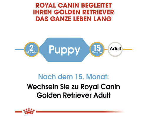 Royal Canin begleitet Golden Retriever das ganze Leben lang. Von zwei Monaten bis zum Erwachsenenalter.
