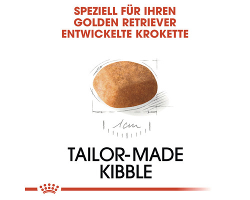 Einzelne Krokette für Golden Retriever