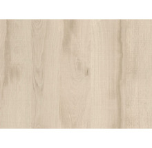 PICCANTE Dekorkante Native Oak K4410 5000x19 mm für Küchenarbeitsplatte