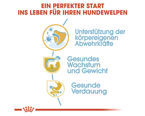 Informationen zum Hundefutter: Unterstützung der Abwehrkräfte, gesundes Wachstum und Gewicht, gesunde Verdauung
