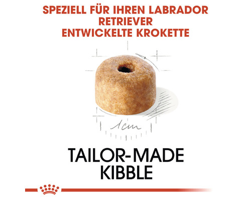 Krokette für Labrador Retriever