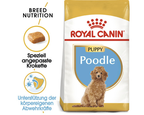 Royal Canin Puppy Poodle Hundetrockenfutter Packung